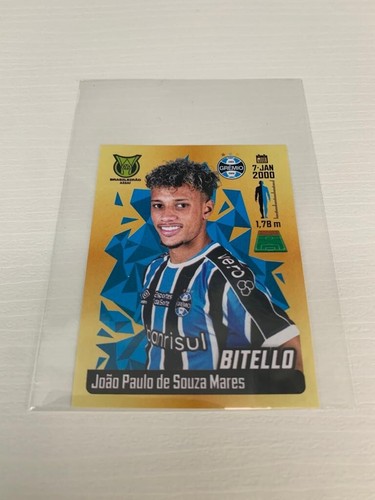 Panini 2023 campeonato - panini,